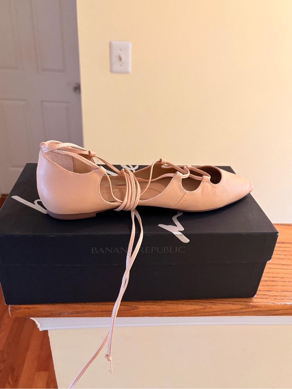 Banana Republic Blush Lace-Up Pointed-Toe Flats